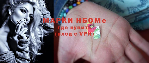 хмурый Арсеньев