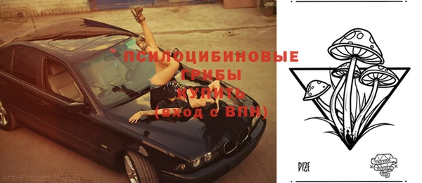 хмурый Арсеньев