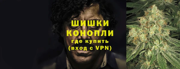 хмурый Арсеньев