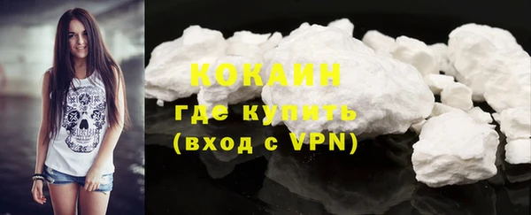 хмурый Арсеньев