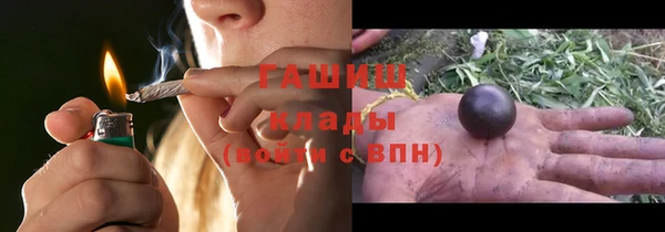 хмурый Арсеньев