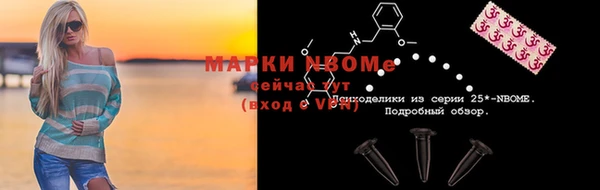 хмурый Арсеньев