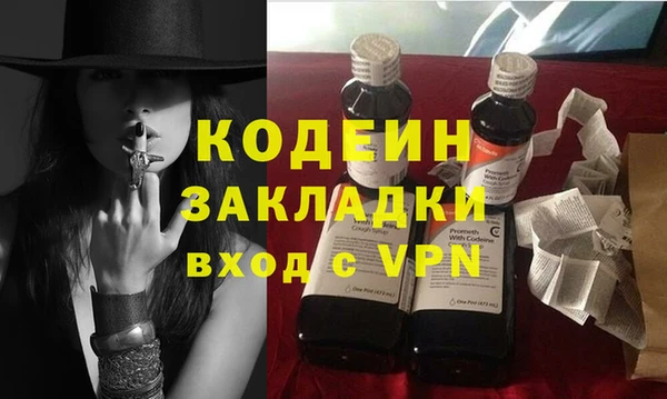 хмурый Арсеньев